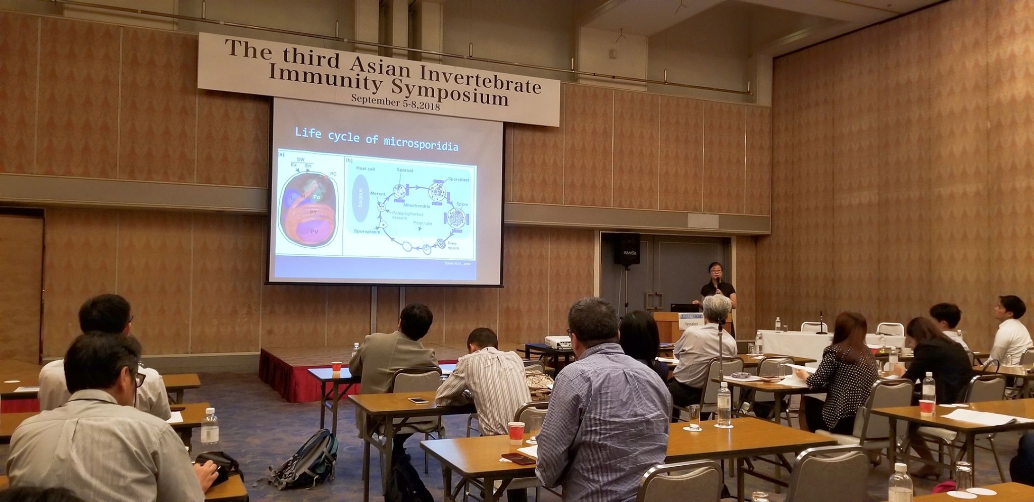 龙梦娴副教授在会上作报告.jpg